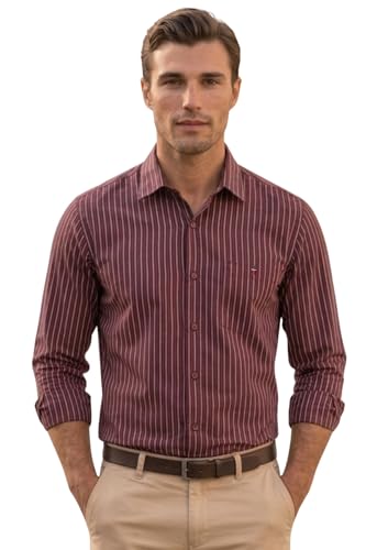 Image of Louis Philippe Men's Slim Fit Signature Oxford Easy Care, Natural Stretch Full Sleeve Stripe Casual Shirt