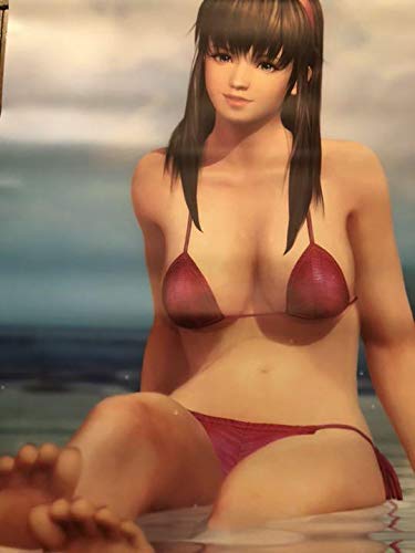 Amazon.co.jp: 【 B2サイズ 】 DEAD OR ALIVE Xtreme 3 最強