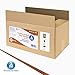 Dynarex Povidone-Iodine Prep Solution, Antiseptic Solution for Skin and Mucosa, Ideal for Surgical Site Preparation, Contains Povidone Iodine 10%,1 Case of 24 8 fl. oz. Bottles (Packaging May Vary)