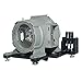 Toshiba TLP-LW21 Projector Assembly with Original Bulb Inside