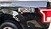 Decal Mods FX4 Off Road Decals Truck Stickers for Ford F150 (2015-2020) Gray - FPPG (Set of 2) | FH5A1