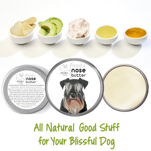 Image of The Blissful Dog Schnauzer Unscented Nose Butter, 2-Ounce
