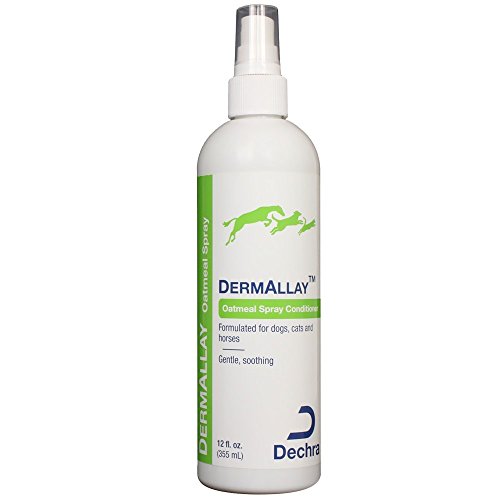 DermAllay-Oatmeal-Spray-Conditioner-12-oz DermAllay Oatmeal Spray Conditioner 12 oz