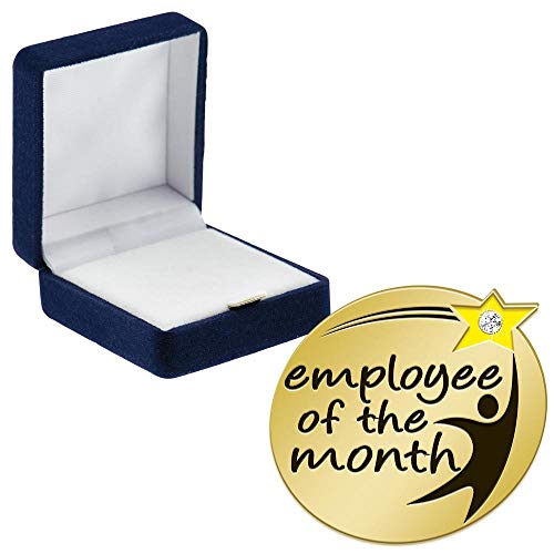 Crown Awards Employee of The Month with Gem Pins, Employee of The Month with Gem Pin with Blue Velvet Presentation Case, 1 Pack, Prime