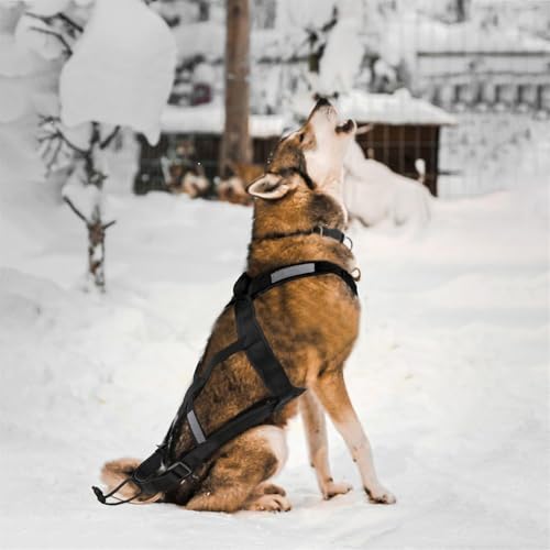 Waycin Hundegeschirr zum Ziehen, X-Rücken Mushing Husky Geschirr für große laufende Hunde, Schwarz