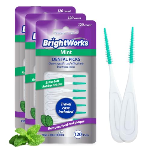 BrightWorks Mint Dental Floss Picks 3 Packs 360ct Soft Bristles Travel Case