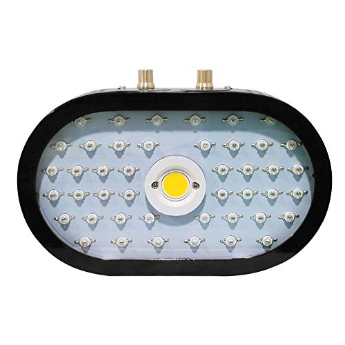 1100W COB Led Grow Light LED Pflanzenlampe Double Chips Pflanzenlicht Full Spectrum Growing For Veg And Flower