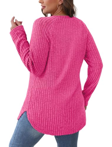 Image of Saloogoe Long Sleeve Shirts for Women 2025 Fall Clothes Tunic Tops Loose Fit Dressy Crewneck Pullover Sweaters Curved Hem