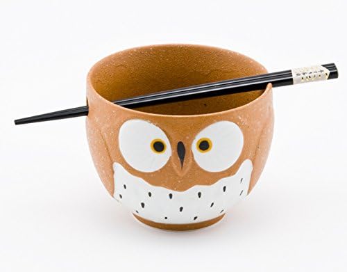 Cute Owl Japanese Ramen Udon Noodle Bowl with Chopsticks Gift Set 5 Inch Diameter (Brown)