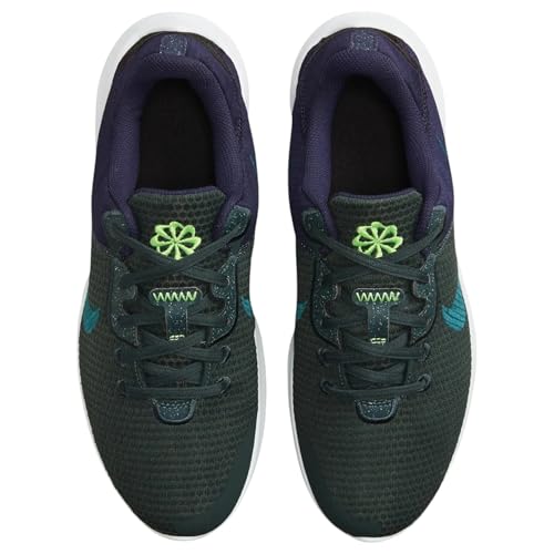 Image of Nike Mens Running Shoes