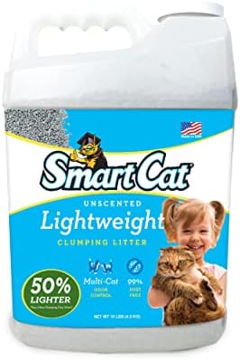 Lightweight Clumping Litter, 10 Pound (160oz 1 Pack) – Unscented and Lightweight