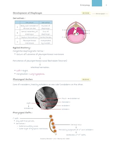 Image of MARROW REVICION NOTES (Rapid) ALL - 19 SUBJECT & FULLY COLOR WITH SPIRAL BINDING 2023-24, 1 JANUARY 2024