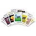Streaking Kittens Expansion Set - A Russian Roulette Card Game for Adults, Teens & Kids, Easy Family-Friendly Party Games - 15 Card Add-on