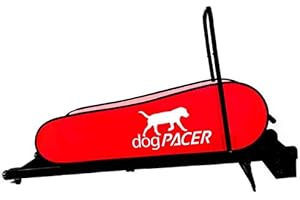 LF 3.1 Full Size Dog Pacer Treadmill: The Ultimate Home Fitness Solution...