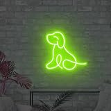 Xusdamyj