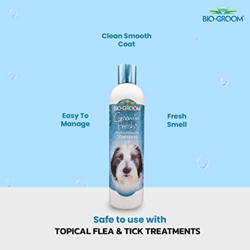 Image of Biogroom Groom N Fresh Odour Eliminating Conditioning Sulfate-Free Dog Grooming Shampoo Unique Fragrance of Finest Perfume Oils for Healing, Soothing and Hydrating Dog Coat, 355ml | Sulfate-free deodorizing shampoo for a fresh, clean, and healthy coat.