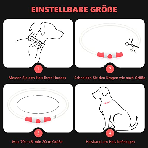 Hundehalsbandanhänger (Red)
