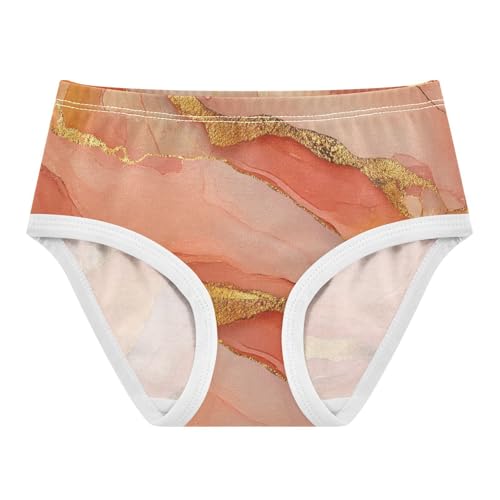 Cotton Briefs Daily Wear Panties Briefs Underwear for Toddler Girls