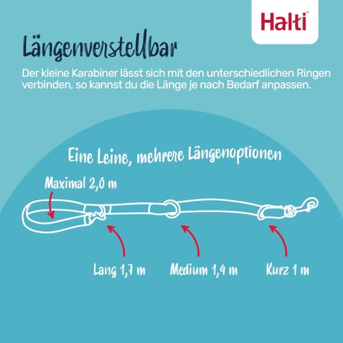 Halti Doppelführleine für Hunde | Größe Klein, Wüstensand, 2 m