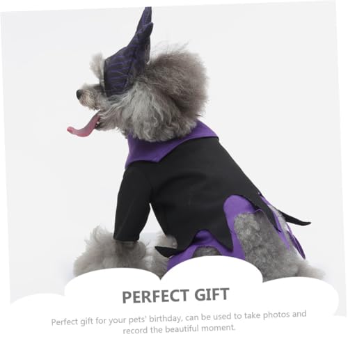Disfraz para perro Bruja Halloween en talla L miniatura 2