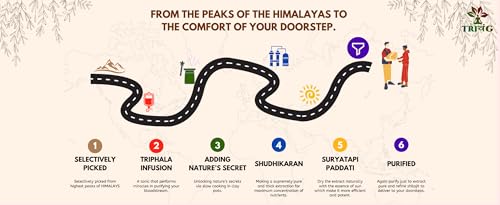 Trivang Himalayan Shilajit Resin 20g - Image 6