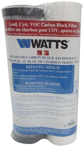 Watts Premier 2-Pack 5-Micron White Melt Blown Sediment Filter Cartridge for Whole House WH-LD, 10
