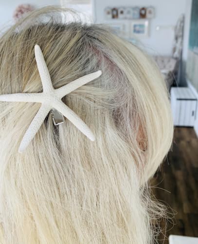 Real Starfish Hair Clip image 4