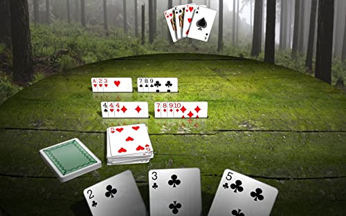 Silver Generation Kartenspiele Deluxe 2023 (Windows 11 / 10) – Bild 3