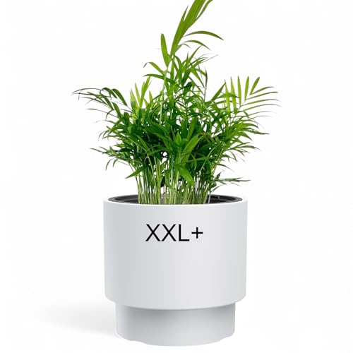 MELTOM Blumenkübel Rund mit Einsatz – Blumentopf Modern Matt –...