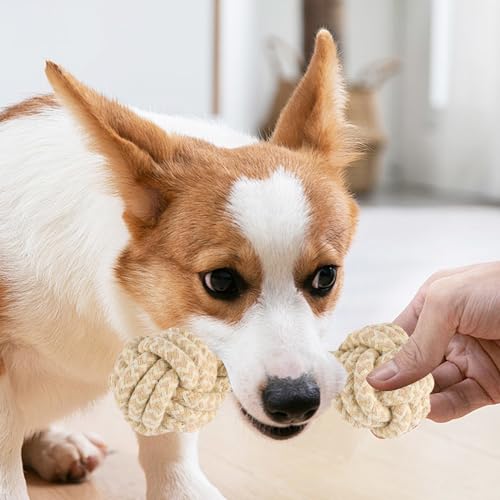 PEGRAUFC 4-teiliges Kauen Hundespielzeug Set für Kleine und Mittlere Hunde - Unzerstörbares Seilspielzeug mit Knoten Ball für Kleine und Große Hunde