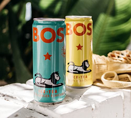 Bos Rooibos Iced Tea | Organic, Antioxidant Rich & Naturally Caffeine Free (Lime & Ginger 24-Pack) #TOP4