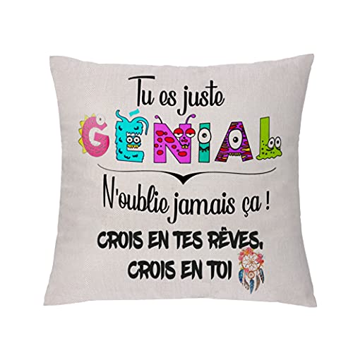 La housse de coussin inspirante