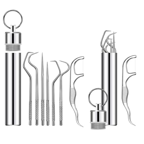 Ninelimi 7Pcs 2 Set Portable Stainless Steel Toothpicks Pocket Set Reusable Metal Toothpicks Cleaning Kit with Holder for Outdoor Picnic Camping Traveling