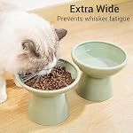 2 Elevated Ceramic Cat Bowls Extra Wide for Food & Water – Whisker Fatigue Shallow Food Dish, Lead & Cadmium-Free, Raised Height for Cats, Sage Green - Image 5