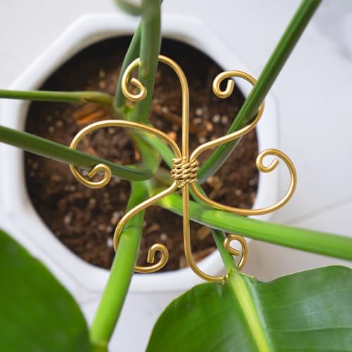 YOHSNOR 5PCS Monstera Plant Support System 4.1IN - Durable Hook