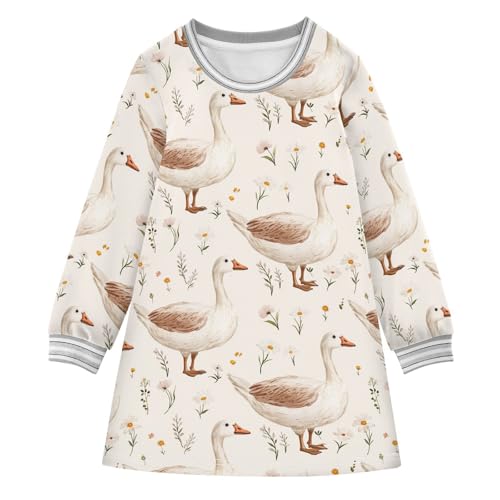 Hand Drawn Goose Girls Dresses Long Sleeve Sweatshirt Dress for Girls Winter Toddler Casual A Line Dresses Size 2-8T