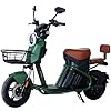 Bicicleta Scooter Elétrica Autopropelida 1000W E-Trek Duos Verde