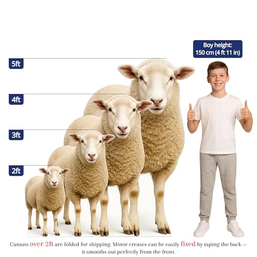 Image of Sheep 2FT Life Size Cardboard Cutout - A Fun Animal Standup for Photo Booths, Birthday Parties, and Events