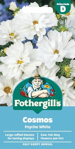 Mr Fothergills Cosmos Psyche White Seeds 100 Seeds Feb-May