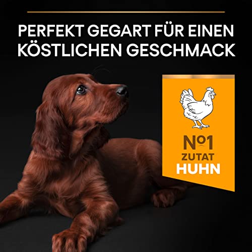 Pro Plan Large Athletic Puppy Healthy Start, Welpenfutter trocken, reich an Huhn, 1er Pack (1 x 12 kg)