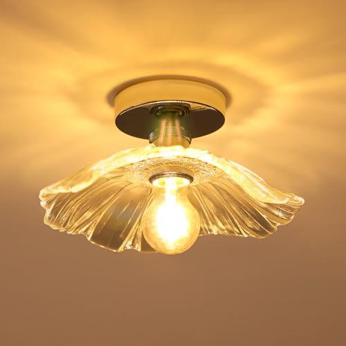 Toolight Plafonnier Salon, E27 Lampe de Plafond en Forme de Feuille de Lotus, Plafonnier Modern Abat-jour de Verre Transparent Créatif pour Chambre Balcon...