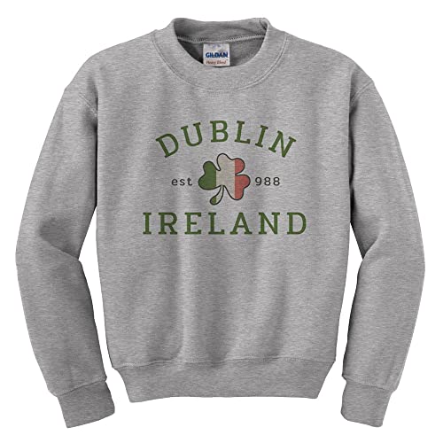 Dublin Ireland Kids Sweatshirt Youth Medium Grey