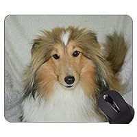 Alfombrillas For Lamer Perros Y Gatos, Alivian La Ansiedad | Meses Sin Interés