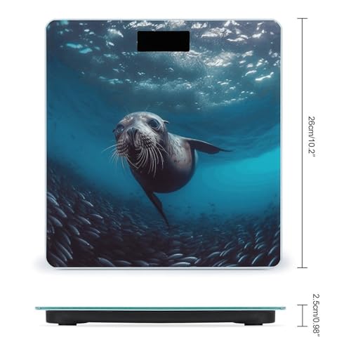 Báscula Digital para Baño con Vidrio Templado y Pantalla LCD miniatura 2