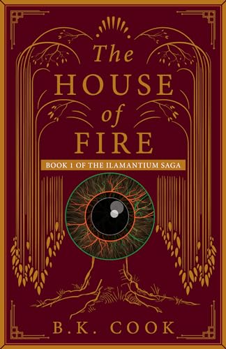 The House of Fire : A Coming of Age Fantasy (The Ilamantium Saga ...