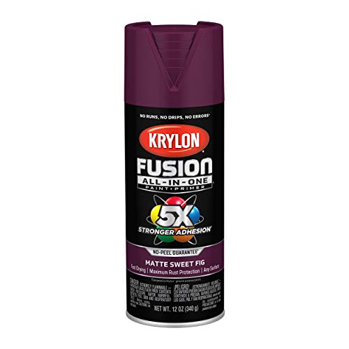 Image of Krylon Fusion All-In-One Adhesive Spray Paint for Indoor /Outdoor Use, 12 oz, Sweet Fig