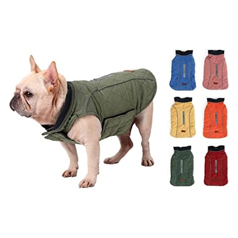 Veste d'hiver BePetMia pour chien Cover