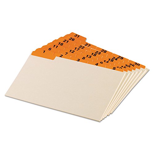 Guides de cartes Oxford 05832 à onglets laminés 1/5 en carte manille résistante 5x8