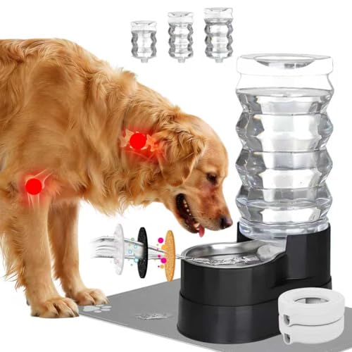 RIZZARI Automatic Dog Water Dispenser: Spill-Resistant 9L Black Gravity Feeder - Includes 2 Extra Filters & 2 Bottle Caps - Raised Design Supports Eld