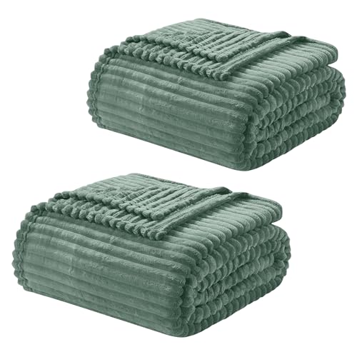 Image of Nestl Green Throw Blanket for Couch - Cozy Warm Fuzzy Blankets for Women, Set of 2 Small Fleece Throws for Girls - Sage Green, 50 x 60 Inches